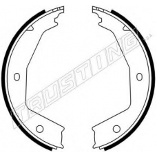 079.194 TRUSTING Комплект тормозных колодок, стояночная тормозная с