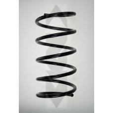 55489 SPIDAN Пружина ходовой части