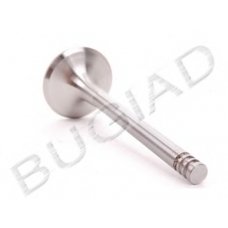 BSP21768 BUGIAD Выпускной клапан