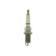 OE062/T10