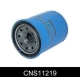 CNS11219